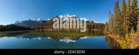 Reflection of Mount Temple in Herbert Lake, Banff National Park, Alberta, Canada Stock Photo