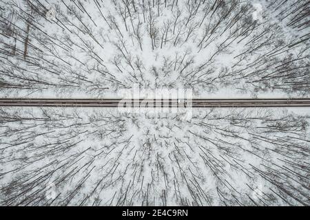 Road through winter forest Stock Photo