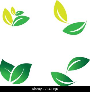 green leaf logo vector Stock Vector