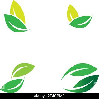 green leaf logo vector Stock Vector