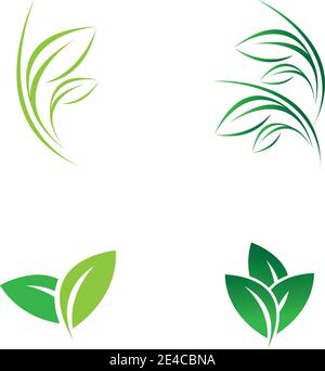 green leaf logo vector Stock Vector