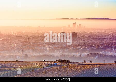 Vienna, towers of Allgemeines Krankenhaus (AKH) (General Hospital), highrises of Wienerberg, mountain Rosaliengebirge, vineyard in 00. overview, Austria Stock Photo