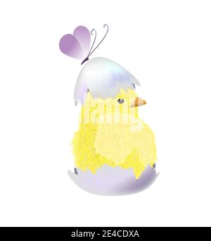 The chicken hatched from the shell. Vector illustration Stock Vector