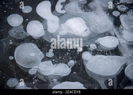 Air bubbles in the frozen lake Stock Photo