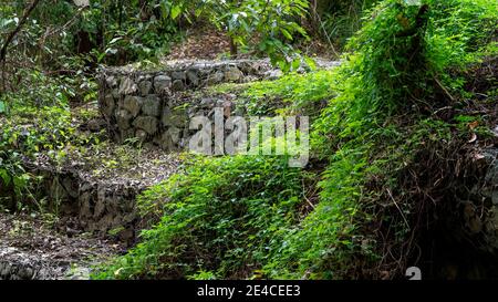 Terraced walls constructed of stones encased in wire netting (gabions), surrounded by plants Stock Photo