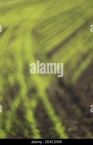 Abstract motion blur of green fields from a car window during a summer ...