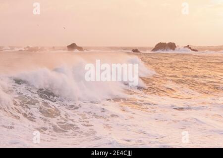 Huge waves at sunrise while Storm Ciara rages on Cap de la Hague, Auderville, Cotentin Peninsula, Normandy Stock Photo
