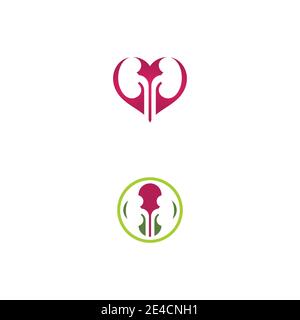 kidney vector illusrtation design logo template Stock Vector