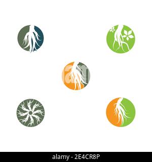 Set Ginseng Wave Logo Template vector symbol nature Stock Vector