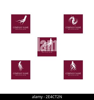 Set Ginseng Logo Template vector symbol nature Stock Vector