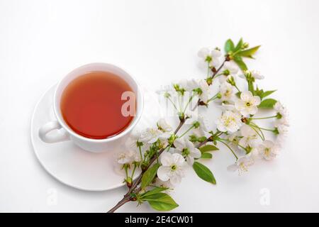 white cup with tea and a blooming twig of cherry on a white background Stock Photo