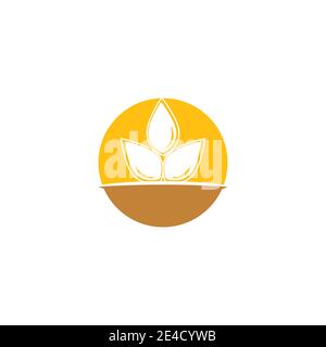 Wheat Logo Template vector symbol nature Stock Vector