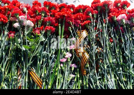 Three Red Carnation on White background color . Stock Photo