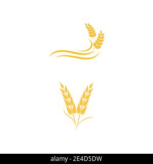 Agriculture wheat vector icon design Stock Vector