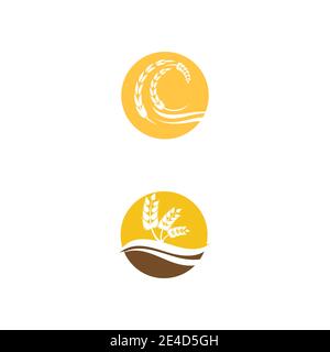 Agriculture wheat vector icon design Stock Vector