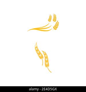 Agriculture wheat vector icon design Stock Vector