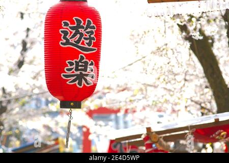 Japanese kanji - YouRaku - , means Amusement, is written on the red lantern in Hirano Jinja, Kyoto Japan. Stock Photo