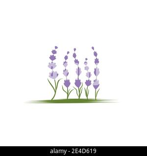 Lavender Logo Template vector symbol nature Stock Vector