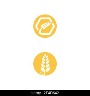 Agriculture wheat vector icon design Stock Vector