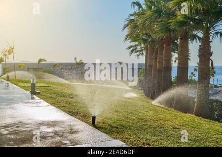 Garden automatic irrigation system. Smarter lawn sprinkler system. Close-up Stock Photo