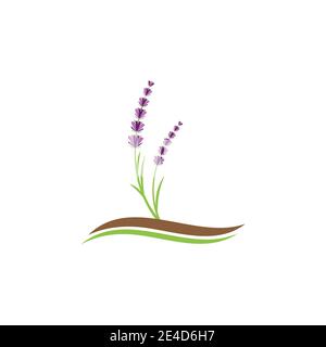 Lavender Logo Template vector symbol nature Stock Vector