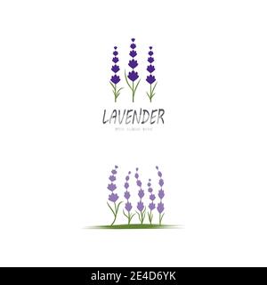 Lavender Logo Template vector symbol nature Stock Vector