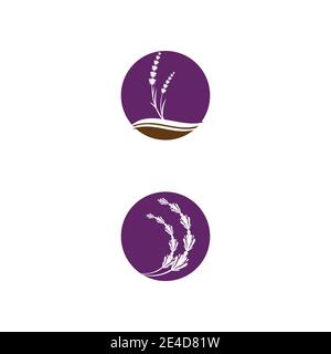 Lavender Logo Template vector symbol nature Stock Vector
