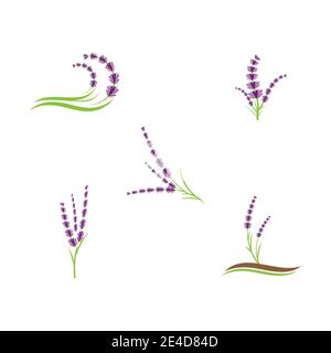 Set Lavender Logo Template vector symbol nature Stock Vector