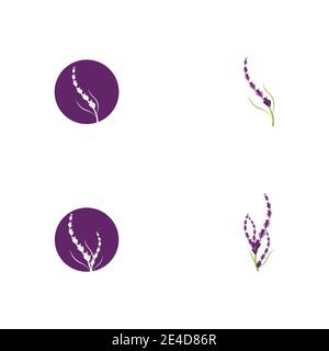 Set Lavender Logo Template vector symbol nature Stock Vector