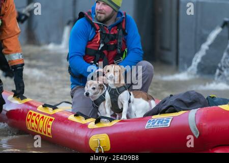Bewdley, Worcestershire, UK. 23rd Jan, 2021. The morning after the flood defences on the River Severn are partially breached in Bewdley, Worcestershire, emergency rescue team rescues a pair of terriers and their owner. The dogs, Eddie and Poppy, were unfazed by the rescue as was their owner. The Severn is still rising and is expected to peak later today. Credit: Peter Lopeman/Alamy Live News Stock Photo