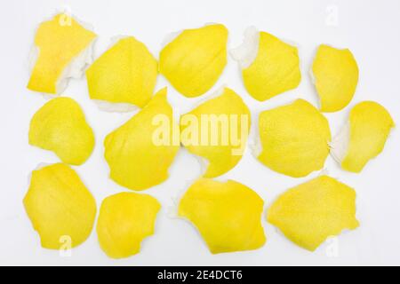 Yellow background with pieces of pomelo citrus fruit peel at isolated white background, organic bright waste Stock Photo