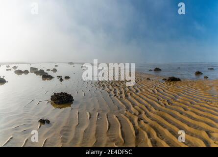 The endless ocean floor uncovered at low tide with sand structures and rocks and tidal pools under lifting fog in the blue sky Stock Photo