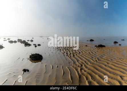 The endless ocean floor uncovered at low tide with sand structures and rocks and tidal pools under lifting fog in the blue sky Stock Photo