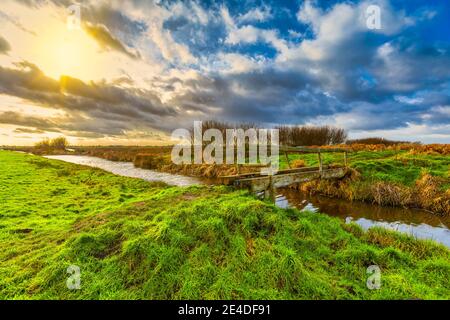 Dutch landscape with tree trunk bridge over ditch to swamp area in Rietveldse polder in Alphen aan den Rijn with background heavy clouds and bright su Stock Photo