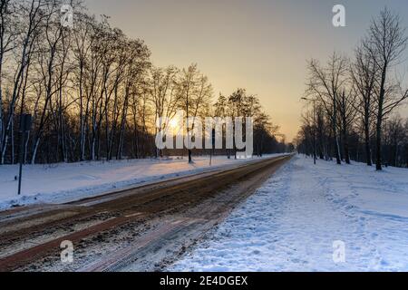 Long empty street in winter day with snow and trees on both sides. Sun is low and hazy. Stock Photo