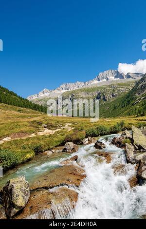 Peak of Care Alto (3462 m) and river Chiese in the National Park of Adamello Brenta seen from the Val di Fumo. Trentino Alto Adige, Italy Stock Photo