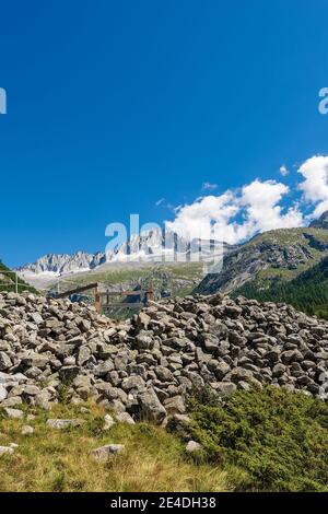 Peak of Care Alto (3462 m) in the National Park of Adamello Brenta seen from the Val di Fumo. Trentino Alto Adige, Italy Stock Photo