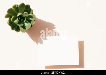 summer stationery mock-up scene. Stock Photo