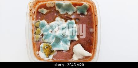 Fungus and  mold on  tomato sauce,  background, São Paulo, Brazil Stock Photo