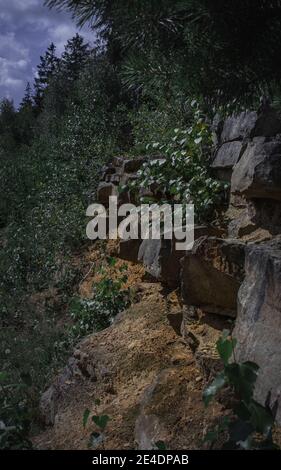 A wall made of sandstone in forest Stock Photo
