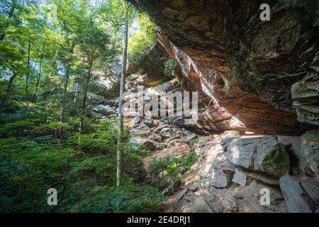 Morning sunlight shines on a rock wall in the Red River Gorge, Kentucky. Stock Photo