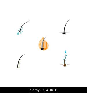 Follicle Hair treatment logo vector icon template Stock Vector