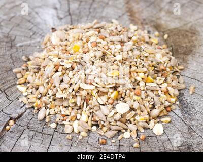 Mixed bird feed suitable for bird feeders for British birds Stock Photo