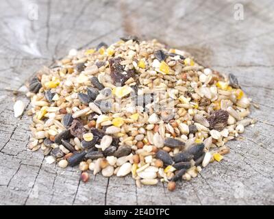 Mixed bird feed suitable for bird feeders for British birds Stock Photo