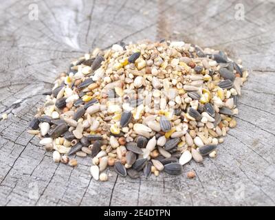 Mixed bird feed suitable for bird feeders for British birds Stock Photo