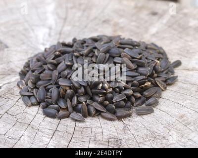 Sunflower seeds suitable for bird feeders for British birds Stock Photo