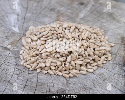 Sunflower seeds suitable for bird feeders for British birds Stock Photo