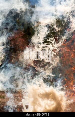 Raging fire, flames and smoke, fire background Stock Photo
