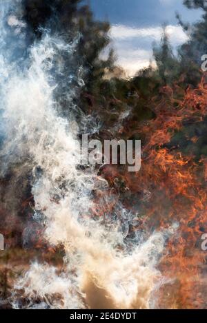 Raging fire, flames and smoke, fire background Stock Photo