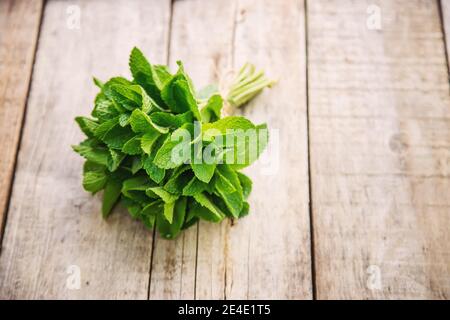 Fresh homemade greens from the garden. Selective focus.nature Stock Photo